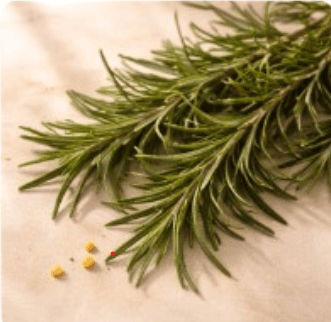 Fenugreek Seeds used in the RUVS Naturals hibiscus hair oil formula